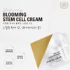 Kem trắng da giảm nám Rebloom luxury blooming stem cell cream 50g