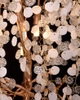 DIAMOND LIGHTING ĐÈN CHÙM HOA CORNELIA THUỶ TINH HIỆN ĐẠI VÀNG TRẮNG - DCHD 1110D