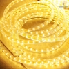 ĐÈN LED DÂY 1 MẮT & 2 MẮT LED110