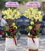 CHẬU 10 CÀNH HỒ ĐIỆP XANH CỐM
