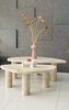 SET OF 2 MARBLE COFFEE TABLE - CT09 - LIGHT EMPERADOR