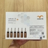 Combo 6 lọ Serum tế bào gốc Nhau thai cừu và Nọc ong Rebirth Cellular B Plavenom Gift Set 10ml x 6 lọ