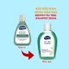 Dầu gội phục hồi Redwin Tea Tree Shampoo 250ml - giảm ngứa, dưỡng ẩm, giảm khuẩn, nấm