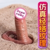 bao-don-den-sieu-mem-chan-that-dz48