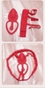 may-rung-cho-nu-deo-luc-quan-he-trai-tim