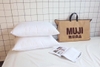 Ruột Gối Muji Nhật