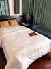 Ruột Chăn Muji Nhật
