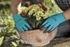 Găng Tay Làm Vườn Chuyên Dụng Gardena 00206-20
