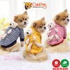 Áo cho chó mèo đeo gấu cute áo nỉ mùa đông cho thú cưng - CutePets
