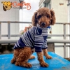 Áo thun cao cổ Hàn Quốc Urban Dành cho thú cưng - Cutepets