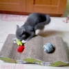 Bàn cào móng cho mèo hình gợn sóng Tặng kèm catmint - CutePets