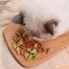 Bánh cá Catnip cho chó mèo tiêu búi lông mix vị cỏ mèo, cá hồi, cá ngừ