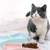 Bát cho chó mèo nhựa đôi hình xương NX-0016 - Cutepets