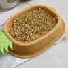 Hộp trồng cỏ mèo thuỷ canh hình dứa - Cutepets