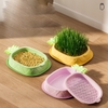 Hộp trồng cỏ mèo thuỷ canh hình dứa - Cutepets