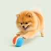 Đồ chơi bóng tennis 5,5m - Cutepets