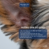 Bột nhổ lông tai  Alkin Ear Powder 5g cho chó mèo - Cutepets