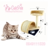 Trụ cào móng 2 tầng Cat Tree cho mèo - CutePets