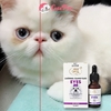 Siro Uống Chống Chảy Nước Mắt cho chó mèo Lacrimal Gland Fluid Eyes 20ml - Cutepets