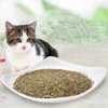 Cỏ mèo Cat Mint Bạc hà dạng bột dành cho mèo - Cutepets