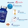 Dầu cá Pet Fis Oil hộp 120 viên bổ sung Omega 3, tăng sức đề kháng và dưỡng lông - Cutepets