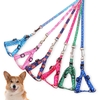 Dây dắt mỏng 1 lớp 1cm kèm yếm cho chó mèo dưới 5kg - CutePets