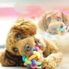 Đồ chơi cho chó mèo bóng 7 màu gắn chuông – CutePets