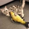 Đồ chơi cho cho chó cá bông - Cutepets