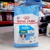 Hạt Chó con Royal Canin Mini puppy