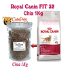Hạt Mèo lớn Royal Canin Fit 32