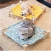 Giường gỗ cho chó mèo 53x48*13cm - Cutepets