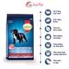 Hạt chó con Smart Heart Power Pack Puppy 1kg Hạt phát triển cơ bắp - Cutepets