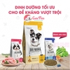 Hạt cho chó Dog Mania 1kg Dinh dưỡng tối ưu, đề kháng vượt trội - Cutepets