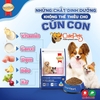 Hạt cho chó Smart Heart Mother Baby Dog 15kg Thức ăn cho chó bầu và chó sơ sinh - CutePets