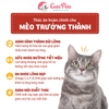 Hạt cho mèo Catpy 500g thức ăn hoàn chỉnh cho mèo - Cutepets