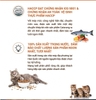 Thức ăn cho mèo Catsrang Hạt cho mèo mọi lứa tuổi - CutePets