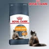 Hạt cho mèo Royal Canin Hair&Skin Care - Cutepets