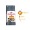 Hạt cho mèo Royal Canin Hair&Skin Care - Cutepets