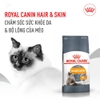 Hạt cho mèo Royal Canin Hair&Skin Care - Cutepets