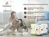 Hạt mềm cho chó Mombless 1.2kg - Cutepets