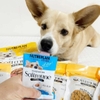 Hạt mềm cho chó Nutri Plan Softmune - Cutepets