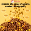 Hạt mèo mix toping thịt sấy DongPet - Cutepets