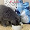 Hạt mèo mix toping thịt sấy DongPet - Cutepets