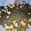 Hạt mèo mix toping thịt sấy DongPet - Cutepets