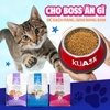 Thức ăn cho mèo KUA PET FOOD 1.5kg