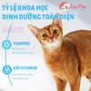 Hạt mèo MR.VET túi 1kg thức ăn mèo Mix thịt sấy - Cutepets