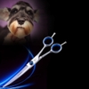 Kéo Spa cắt tỉa lông dành cho thú cưng