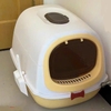 Nhà vệ sinh mèo gắn nơ 52x39x4cm - Cutepets