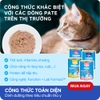Pate cho mèo Mr.vet Digestion cá ngừ cua lon 400g - Cutepets