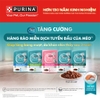Pate-cho-meo-PURINA-ONE-70g-Cutepets